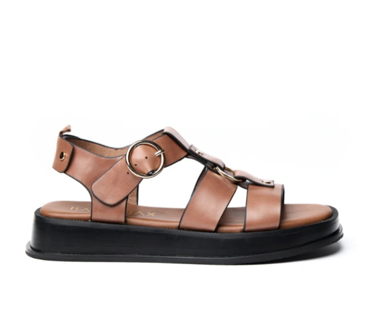 Espresso Tan Sandal