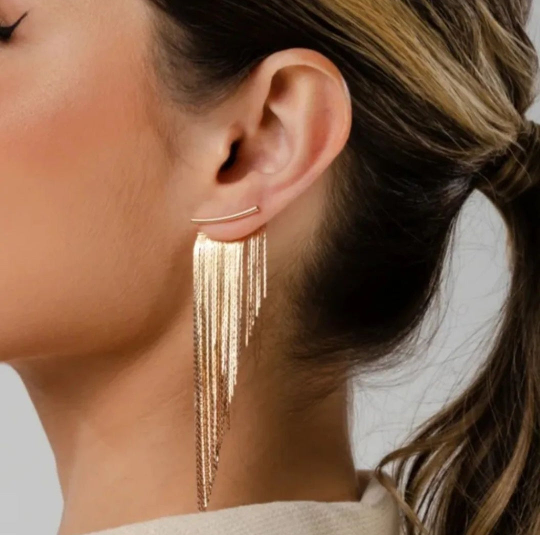 Tassel Fringe Earrings